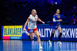 Danmark har haft udgifter for en million kroner til VM